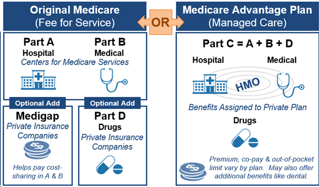 Diagram showing the two paths for Medicare, as described in the text